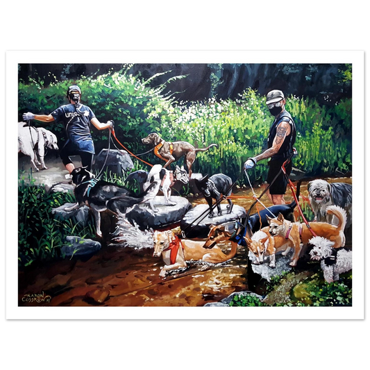 dd938399-be33-4169-8886-065db8c00895